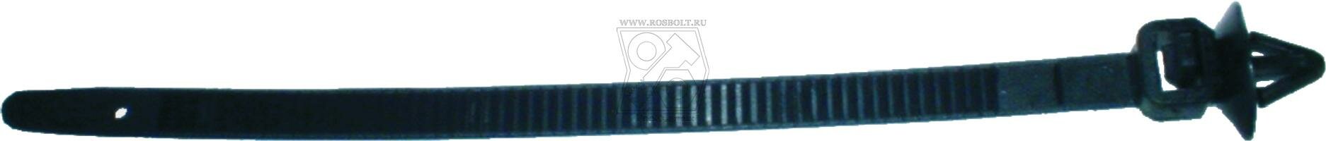 ����� �678 