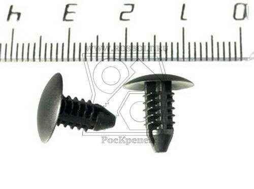 ������ �736 ��������� ������� Lexus 