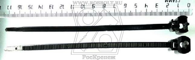 ������ �1250 ����� 